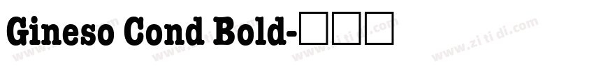 Gineso Cond Bold字体转换